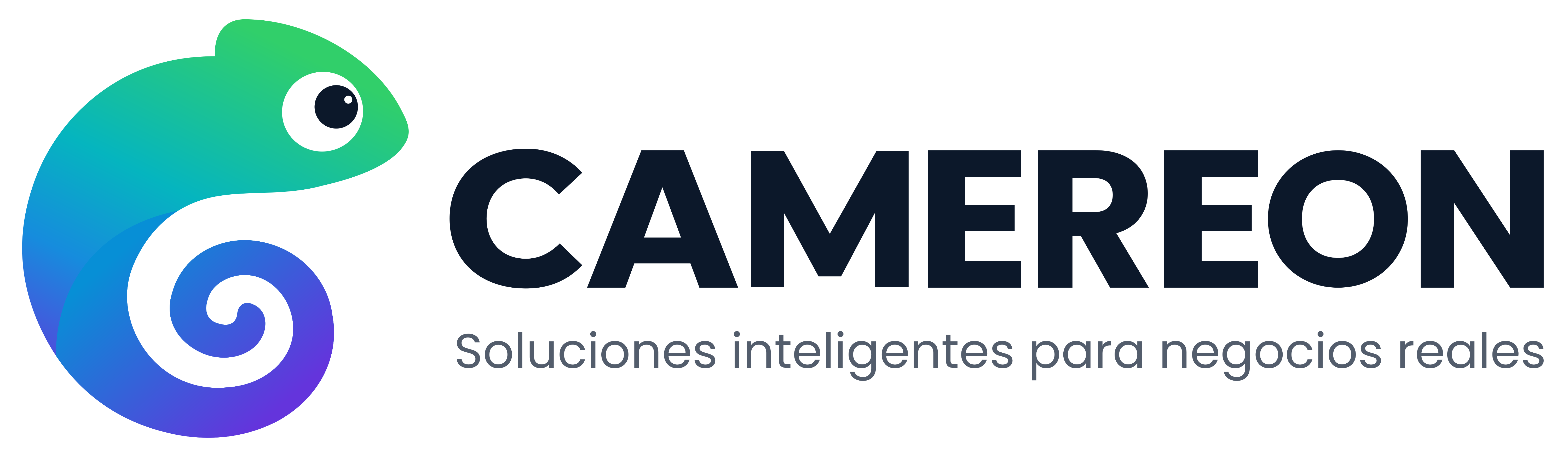 CAMEREON — Soluciones inteligentes para negocios reales