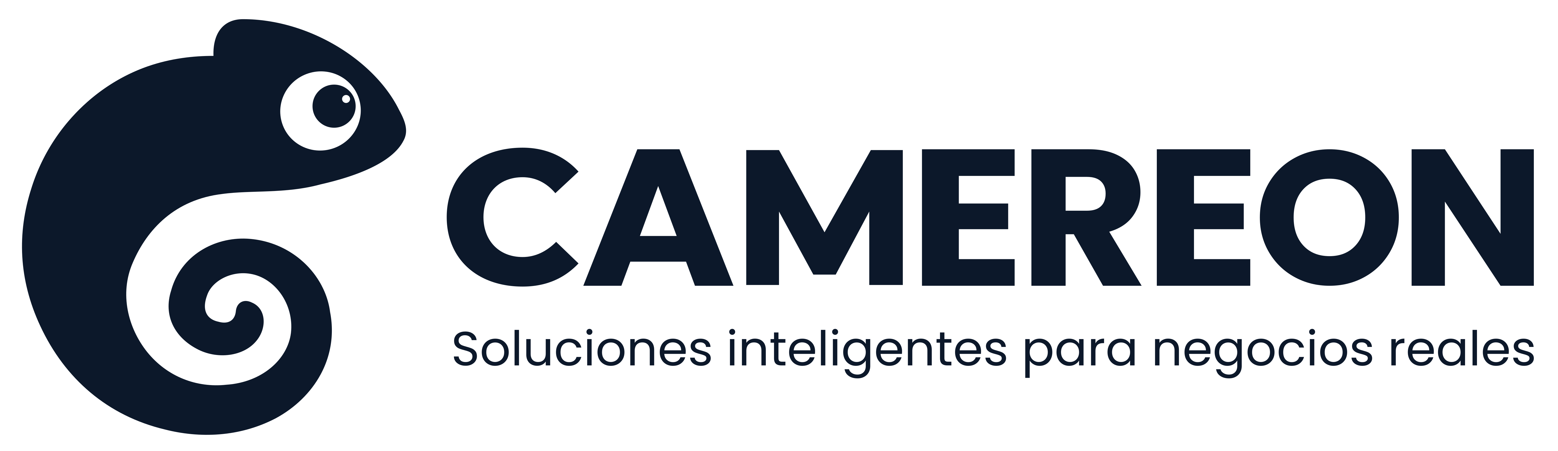 CAMEREON — Soluciones inteligentes para negocios reales